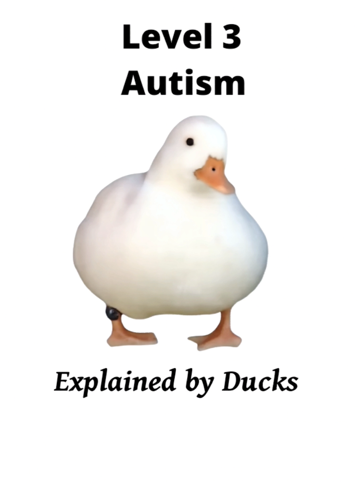 Level 3 Autism Explained by Ducks #level #Autism #explain #duck #storytime 