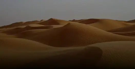 شريط من المرحوم ديمي بنظ الغرام#