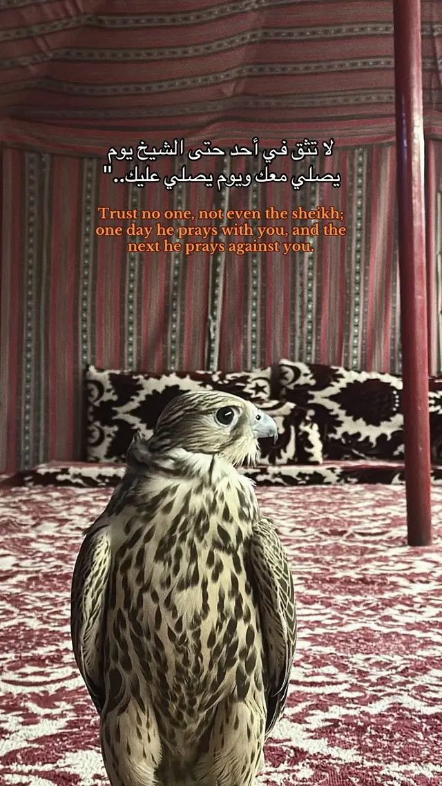 جزء 125 | #كلام_فخم #اقتباسات #حالات #كتابات #فخامه 