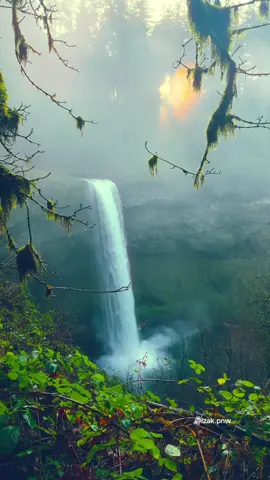 Amid the lush green forests of Oregon, waterfalls flow through the misty, rain-soaked landscape, creating a dreamy scene straight out of a fairytale. #tiktokgonewstars #pacificnorthwest #waterfall #forest #pnw 