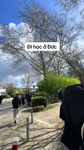 🇻🇳Một ngày đi học của du học nghề Đức🇩🇪 #deutschland #duhocngheduc #fyp #xuhuong #CapCut 