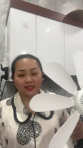 Quạt treo tường 8 cánh giá rẻ #xuhuongtiktok #thinhhanh #shopchaudung #quattreotuong #quatminitreotuong 