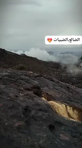 تصوير مدينتي الحبيبة تصوير عدي الصبيحي ومنتاج عدي 