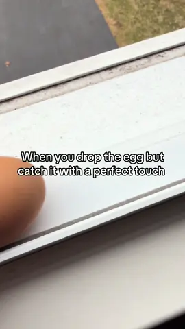 Brazil here I come🇧🇷 #fyp #egg #meme #viral #blowthisup 