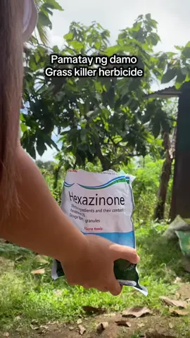 #herbicide #grasskiller#grasskillerherbicide #pamataydamo 