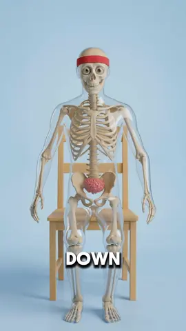 What if your brain was in your butt?  #curiosity 