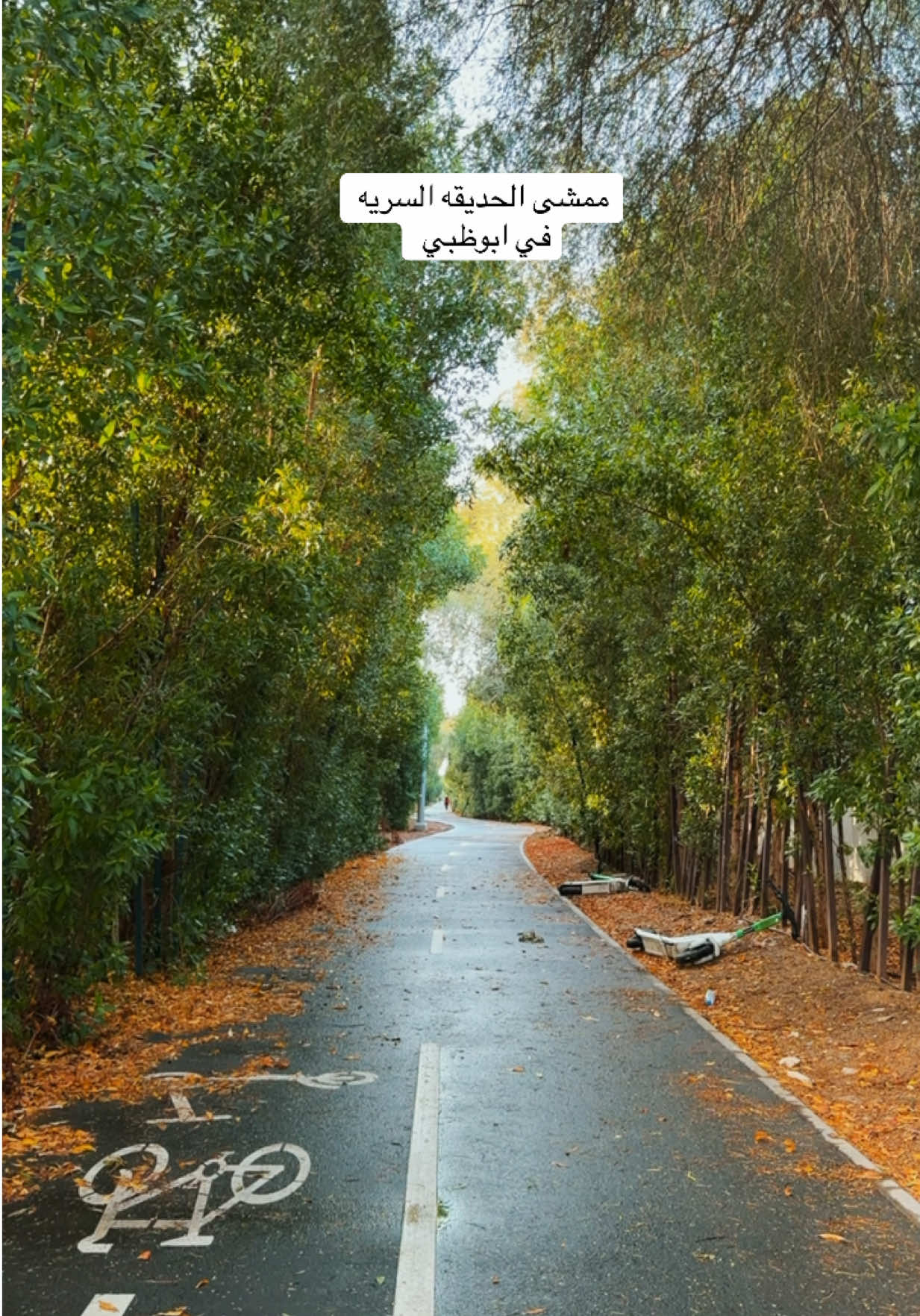 ⁨	⁨	⁨	 Zoi📍ابوظبي - ممشى القرم بعد   صوب حديقة الدولفين  Al Qurm Yard - Qasr Al Bahr - Abu Dhabi الممشى هادي وحلو  ينفع للسياكل و المشي  وقبل الممشى في ملعب  حلو و في منطقه لعب 