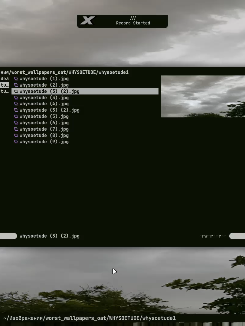 vxwm! repo link: https://codeberg.org/wh1tepearl/vxwm dotfiles: https://codeberg.org/wh1tepearl/dotfiles #bsd #linux #wm #x11 #vxwm