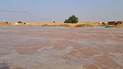 Dajla i3aunk