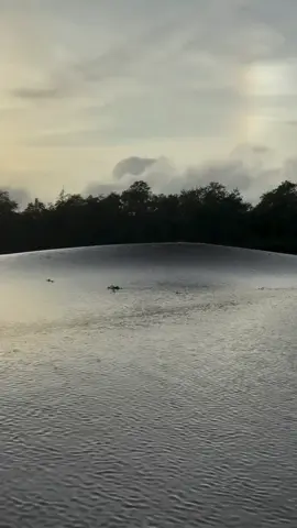 imagens..de um onda gigante. fenômeno da natureza.. chamado de pororoca q acontece.no rio mearin Amazônia brasileira..de ano em ano..venha siga compartilhe... #pororoca #amazonia #tiktok #ondas