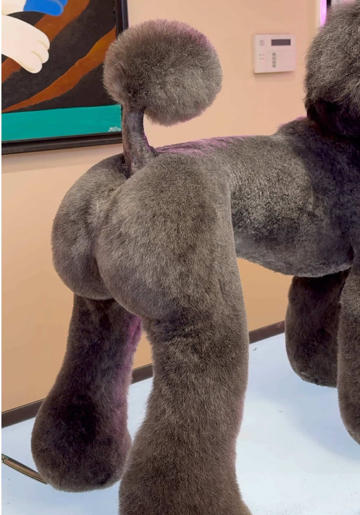 What happened to my dog… . #doggrooming #dogsbylogan 