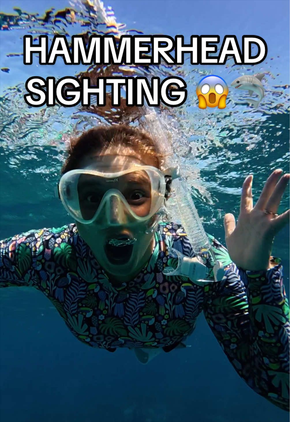 hammerhead shark!!! 🤯 #hammerheadshark #shark #floridakeys #snorkeling 