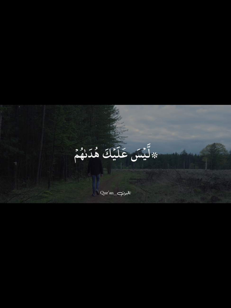 ﴿لَيسَ عَلَيكَ هُداهُم وَلكِنَّ اللَّهَ يَهدي مَن يَشاءُ وَما تُنفِقوا مِن خَيرٍ فَلِأَنفُسِكُم وَما تُنفِقونَ إِلَّا ابتِغاءَ وَجهِ اللَّهِ وَما تُنفِقوا مِن خَيرٍ يُوَفَّ إِلَيكُم وَأَنتُم لا تُظلَمونَ﴾  ـــــــــــــــــــــــــــــــــــــــــــــــــــــــــــــــــ #راحة_نفسية #قران_كريم #quran #سورة_البقرة #vairal 