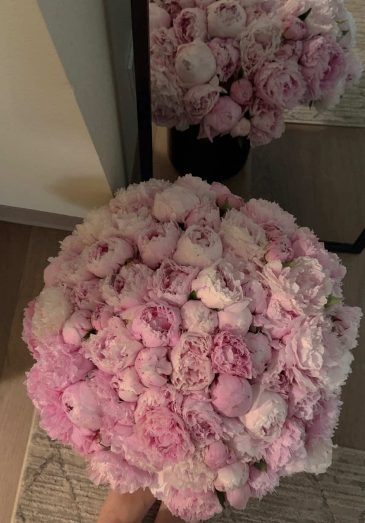 #peony #peonies 💗