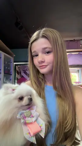 amei os vídeos no pet shop #fyp 