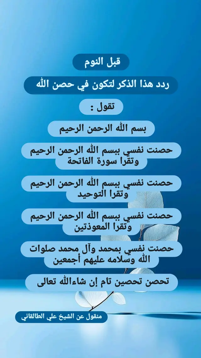 تحصين النفس قبل النوم عن الشيخ علي الطالقاني #ياحسين #ياعلي #يافاطمة #explore #fyp 