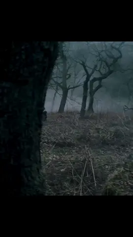 You Won’t Believe What Happens Next 😱 Pure Hollywood Magic   A Scene You Can’t Forget Hollywood at Peak Level 💥#hollywood #movies #movieclips #films #cinema #cinematic  #filmclip #movieedit #scenes #bestscene #epicscene  #movielovers #filmbuff #moviecommunity  #entertainment #reels #reelsvideo #shorts #shortvideo  #viral #viralvideo #viralvideos #trending #trendingnow  #fyp #foryou #foryoupage #explore #explorepage #tiktoktrend  #tiktokmovies #tiktokreels  #usa #unitedstates #america  #uk #england #london  #canada #toronto  #australia #sydney  #europe #global #worldwide #international #englishcontent You Won’t Believe What Happens Next 😱 Pure Hollywood Magic   A Scene You Can’t Forget Hollywood at Peak Level 💥#hollywood #movies #movieclips #films #cinema #cinematic  #filmclip #movieedit #scenes #bestscene #epicscene  #movielovers #filmbuff #moviecommunity  #entertainment #reels #reelsvideo #shorts #shortvideo  #viral #viralvideo #viralvideos #trending #trendingnow  #fyp #foryou #foryoupage #explore #explorepage #tiktoktrend  #tiktokmovies #tiktokreels  #usa #unitedstates #america  #uk #england #london  #canada #toronto  #australia #sydney  #europe #global #worldwide #international #englishcontent 