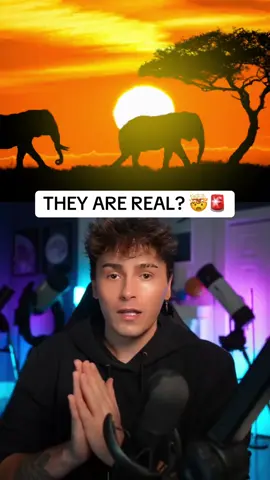 GHOST ELEPHANTS? #Science #TikTokLearningCampaign 