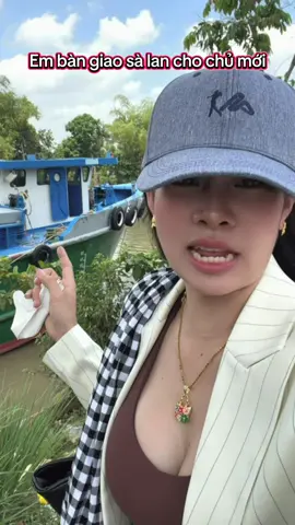 #kimtronsalan#datphuongnam