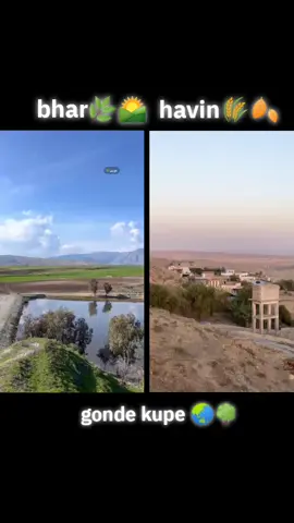 bhashta mn KUPE🌏#fyp #كوپئ #kurdistan #bhar #duhok_zaxo_amedi_semel_akre 