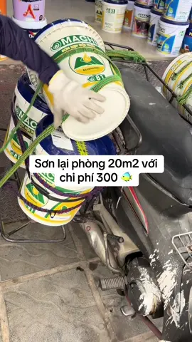 Sơn lại phòng. Decor phòng, sơn trong nhà #thegioison #sontrongnha 