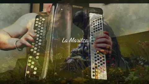 La Maritza(accordion cover) #lyrics #accordion #lamaritza #instrumental #Love 