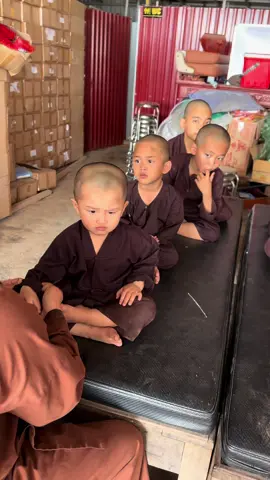 Nhà cháu tôi luyen thực hành giới luật  từ nhỏ tinh tấn tu hành, để mai sau đủ duyên lành, biết đâu trở thành bậc tu hành đức hạnh, xứng đáng nối truyền mạng mạch Phật pháp ở lại chùa với dân làng…#thichgiactam #chuacamla #xuhuong #trend #tiktoklive 