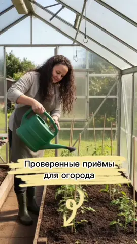 Берём на заметку📝...Подписывайтесь на мой телеграм-канал https://t.me/grachanyuta, там ещё больше полезного и интересного🤗