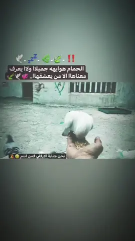 #عباراتكم_الفخمه📿📌_  #تصاميم_فيديوهات🎵🎤🎬_  #تصاميم_عبہٰدان_🦅_✌🏾  #استوريات_تفوتكم💔🌿 