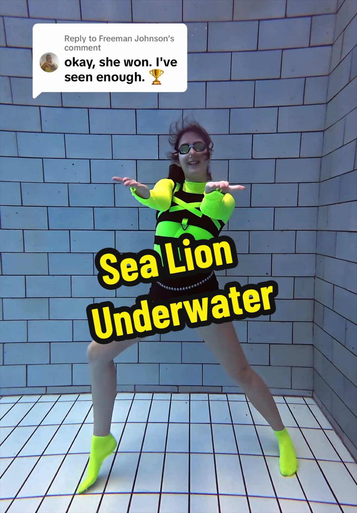 Replying to @Freeman Johnson  Everybody hit it with me, hit the sea lion underwater! 🌊 #sealion #underwater #swimmingpoolchallenge #podvodou #sisasolymosyova 