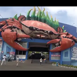 hanya kepiting 🦀 biasa tapi mempunyai kenangan yang luar biasa 💗 #fyp #wbl #wisatabarilamongan #wbllamongan #memory 