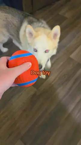 #dogsofttiktok #dogtreats #dogs #dogsoftiktok #dog 