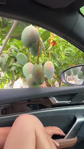 Can You Believe This Grows Naturally? #OrganicFruits #FruitsLovers #UKTikTok #satisfyingvideo #ViralFruits 