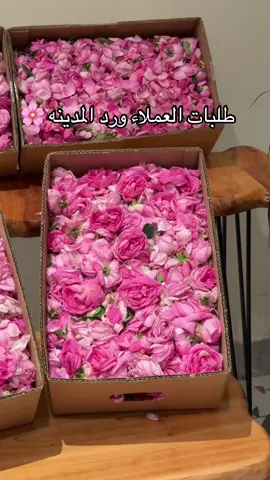 ورد المدينة 🌸🥹 للطلب 0530438719 #ورد_المدينة #ورد #المدينه_المنوره #منتجات_المدينة #ورد_المحمدي 