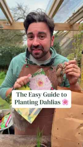 Avoid damaging you dahlias by not making this mistake. Dahlias are a great way to add colour to your garden and it’s long lasting too. But planting too early can be problematic if not done right. Todays gardening tips show you how and when to plant your dahlia for amazing floral displays #gardeningtips #dahlias #dahlia #planttips #todayinthegarden 