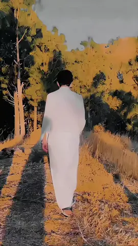 badshah .... gulam...# @khushii_khan2 foryou# TikTok# viral# foryoupage# vural# 