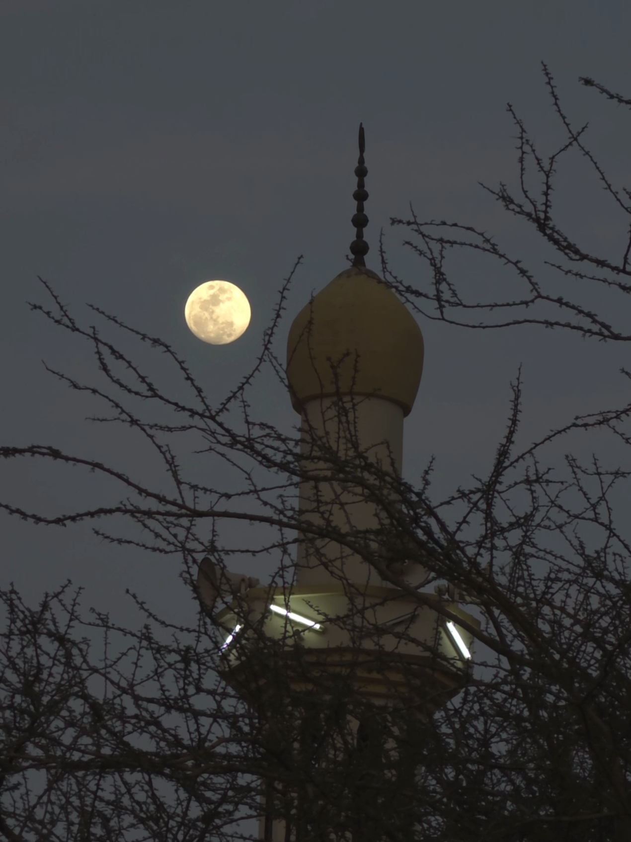 طريقة تصوير القمر🌕فديو بهواتف السامسونج 🤳 #تصويري #photography #سامسونج #moon #القمر 