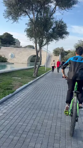 #mtb #freeride