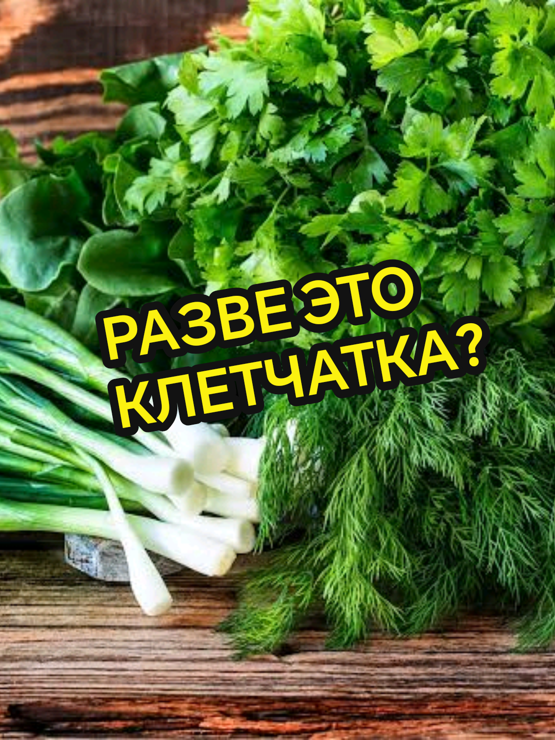 ЗЕЛЕНЬ И КЛЕТЧАТКА, ГДЕ ЕЁ ИСКАТЬ? #клетчатка #зелень #кишечник #запор #петрушка 