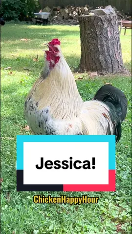 JESSICA! #jessica @Edigar Silva 