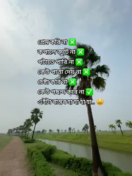 সিঙ্গেল রা হাজিরা দেও 🤧🤧#fanivedio #foryoupage #foryou #tiktok #vairal 