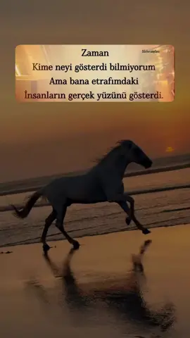 #CapCut #viralolcak #kesfetbeniöneçıkart #kesfetteyiz #sözlerköşkü 