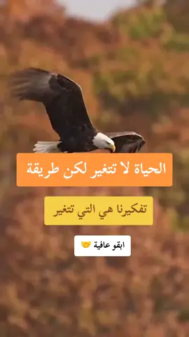#اقتباسات📝  #سودانيز_تيك_توك_مشاهير_السودان🇸🇩  #عبارات_جميلة_وقويه😉🖤  #ti̇ktok  #fypシ゚ 