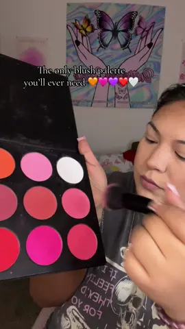 “Shut the Blush Up” palette features 12 shades that can also be used as eyeshadows! #blush #blushpalette #blushtutorial #powderblush #blushfinds 