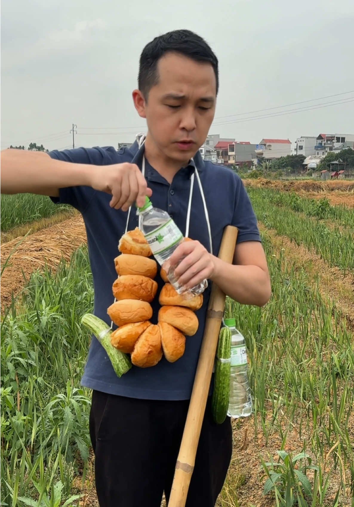 Giảm nghỉ trưa tăng năng suất #tuanmaymo #meohay #xuhuong #haihuoc #trending 