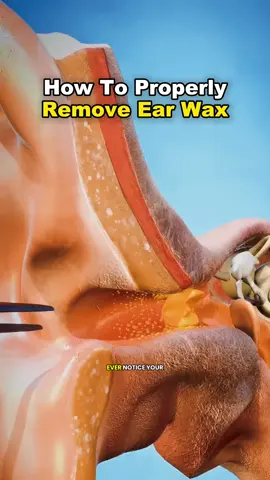 🤔How To Properly Remove Ear Wax 😲 #3d #planet #fact #LearnOnTikTok #animation