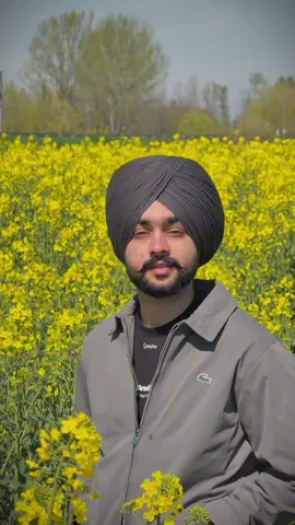 #CapCut #italy #punjabi #europe #babeo 