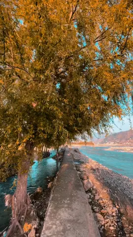 ہر وہ گناہ کرو جس کا نقصان تمہاری ذات تک محدود ہو، مگر کسی کی دل آزاری نہ کرو، کسی پر ظلم نہ کرو، کسی کا حق مت کھاؤ، کسی کی زندگی عذاب نہ بناؤ، بس اپنی زندگی جیو اور دوسروں کو سکون سے جینے دو🕊️❣️🫶🏻