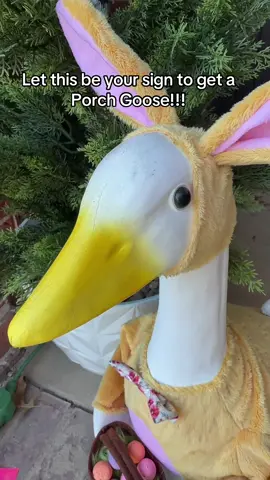 Best decision ever!! #tiktokshopcreatorpicks #tiktokshophomefinds #porchgoose #porchgooseoutfit #homedecorideas 