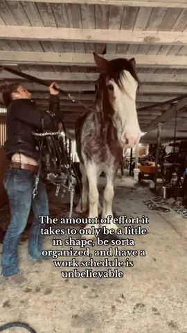 #itsamandalee #onlyfarmer #redhatcowgirl #whaletail 